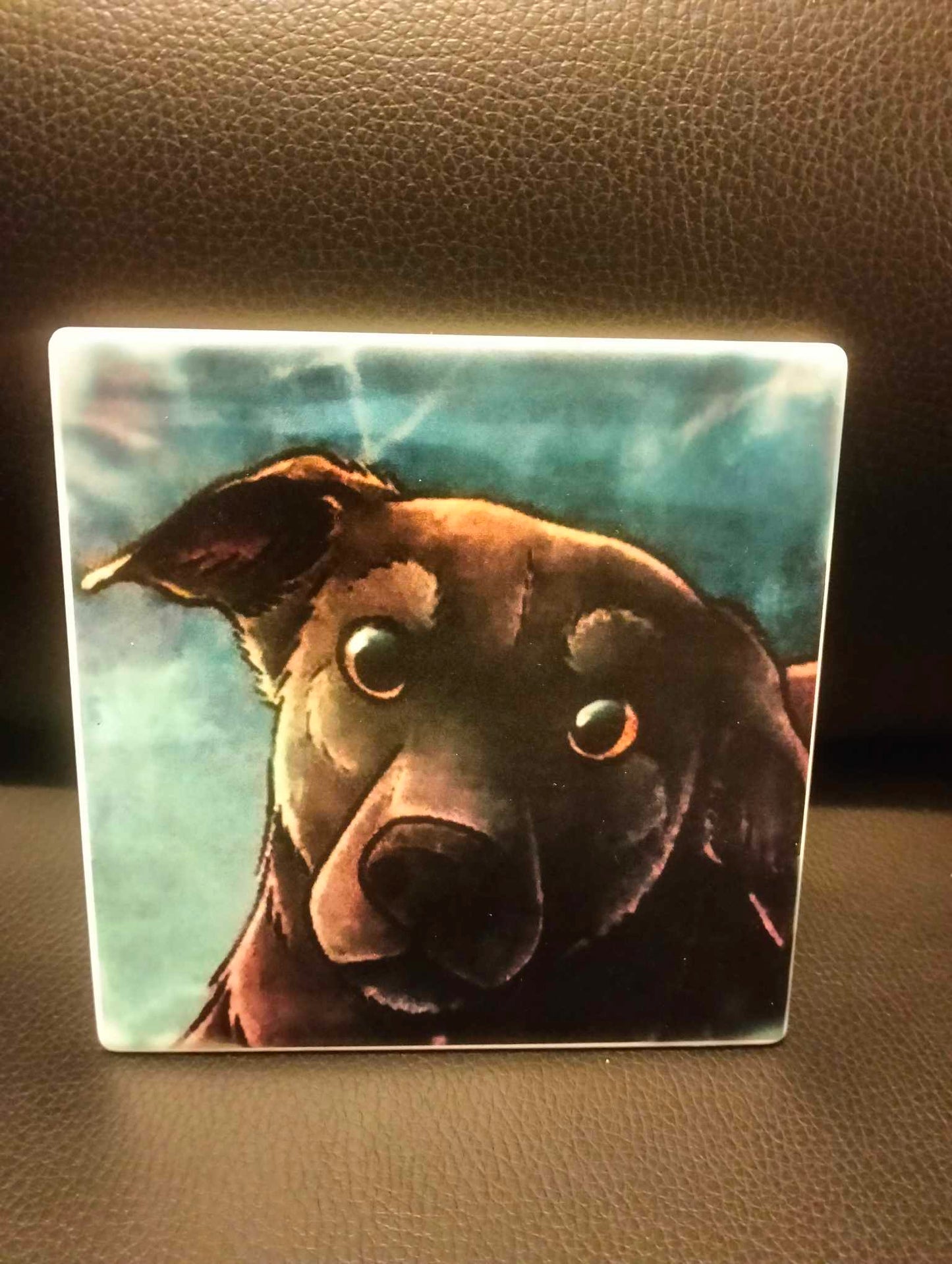 Born2Collect Coasters