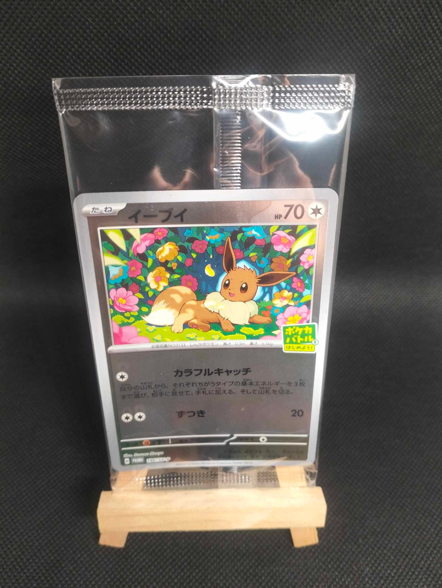 Eevee Campaign Promo (Japanese)