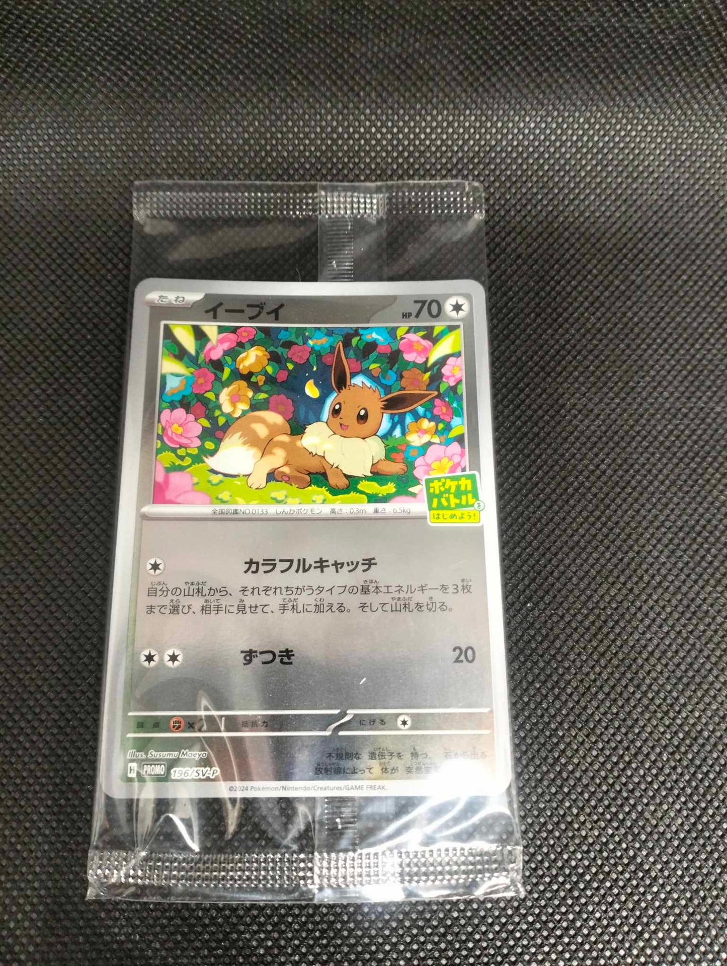 Eevee Campaign Promo (Japanese)