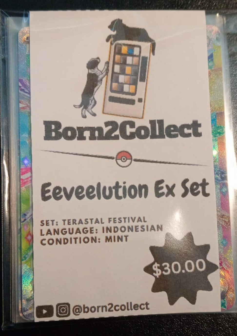 Terastial Festival Eeveelutions EX Set