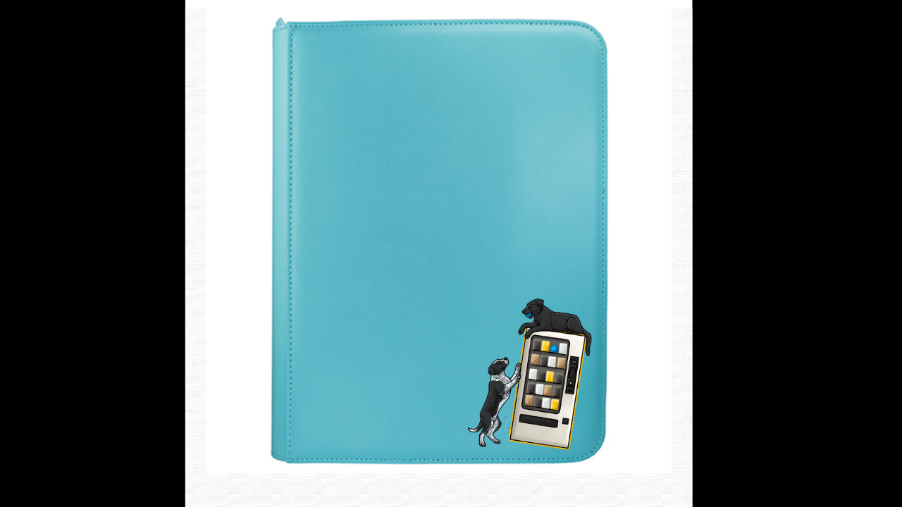 Born2collect Sleeves and Binders
